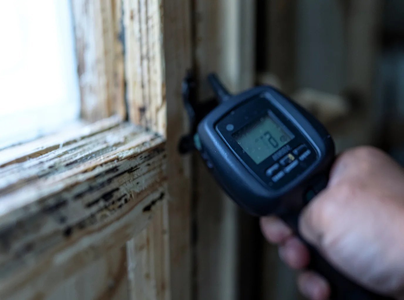 Moisture Inspection And Documentation in Riviera, TX